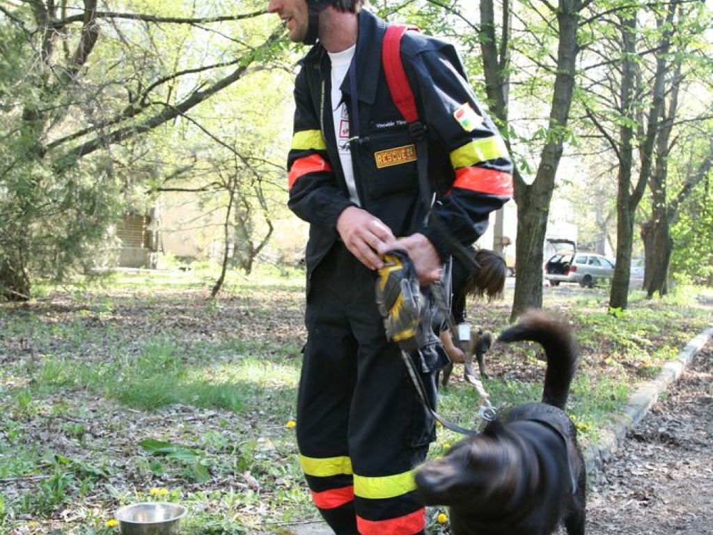 IV. Nemzetközi Pannon Mentőkutyás Vizsga és Verseny